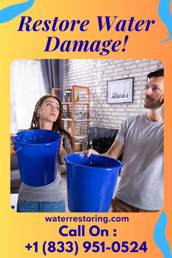 water restoration Prime Flood Damage Specialists Friendly
