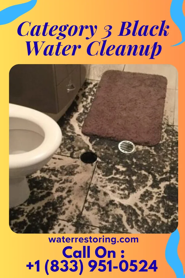 Category 3 Black Water Cleanup in Friendly, MD