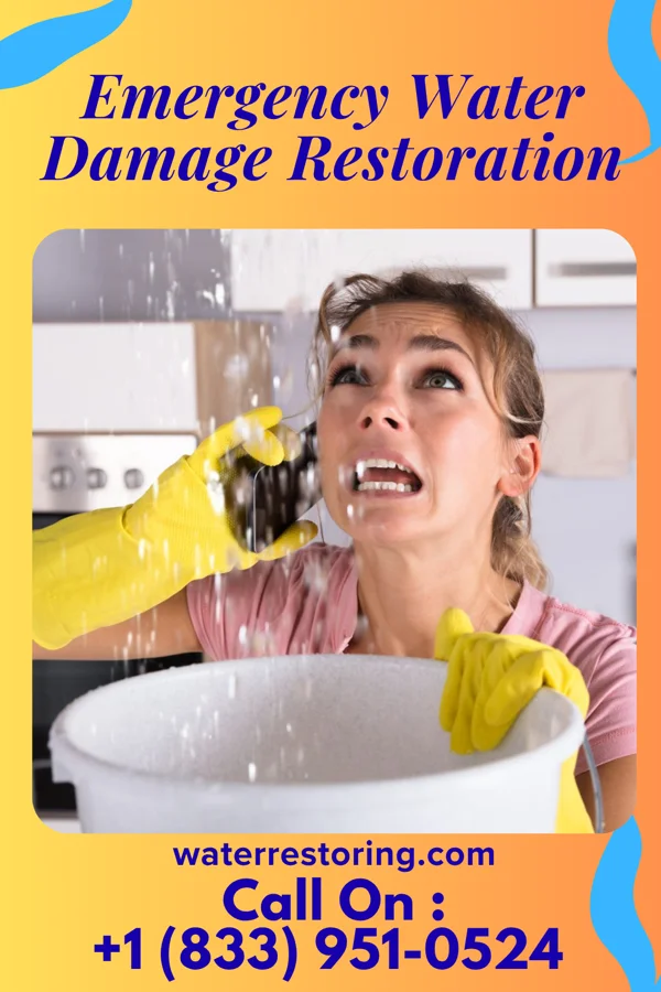 Emergency Water Damage Restoration in Friendly, MD