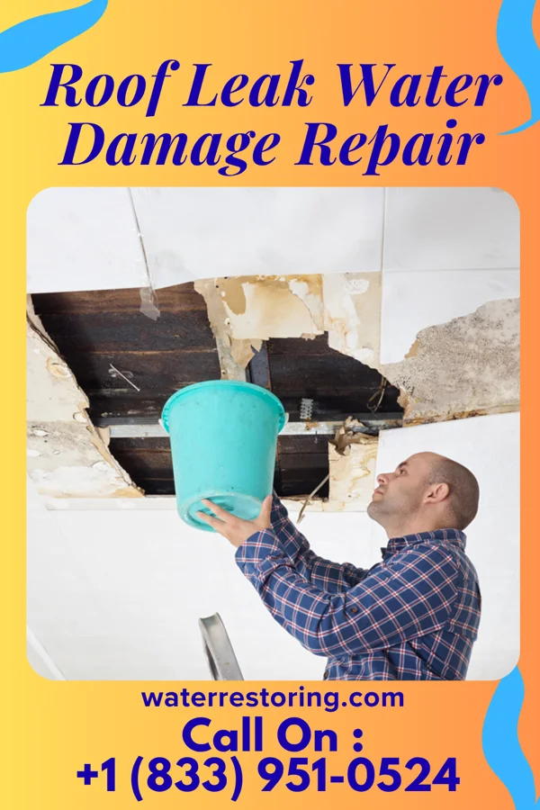 Roof Leak Water Damage Repair in Friendly, MD