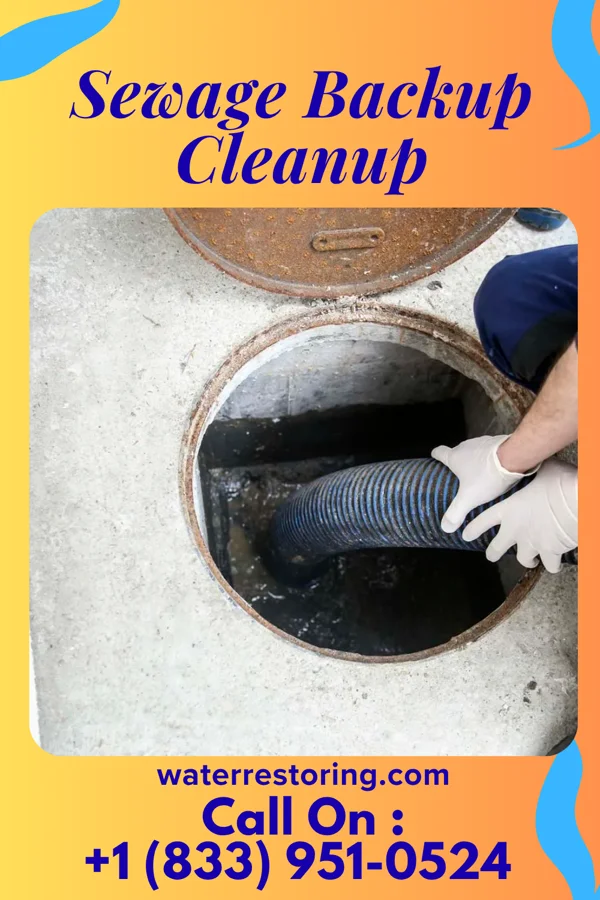 Sewage Backup Cleanup in Friendly, MD