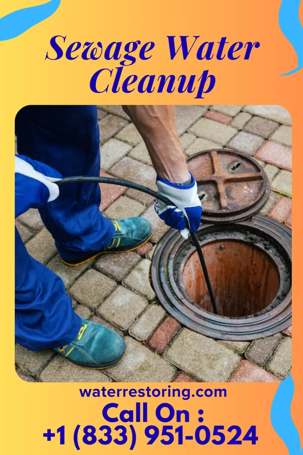 Sewage Water Cleanup in Friendly, MD